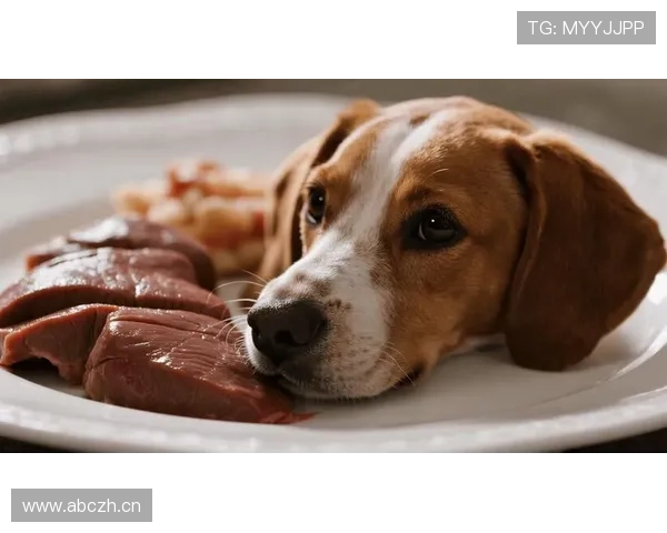 亚历克斯·摩根家的狗都吃有机粮，我还在纠结泡面加不加蛋